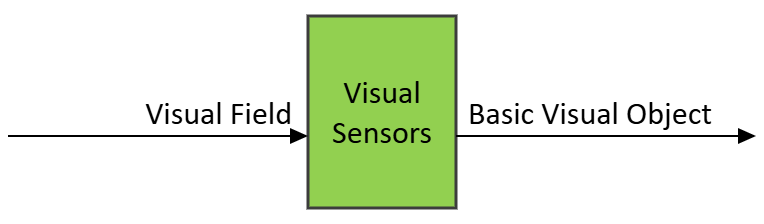 Figure 1 – The Visual Sensors (CAV-VIS) AIM